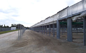 Riverview Flower Farm grading for Craveo House