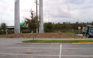 High visibilty areas to be landscaped